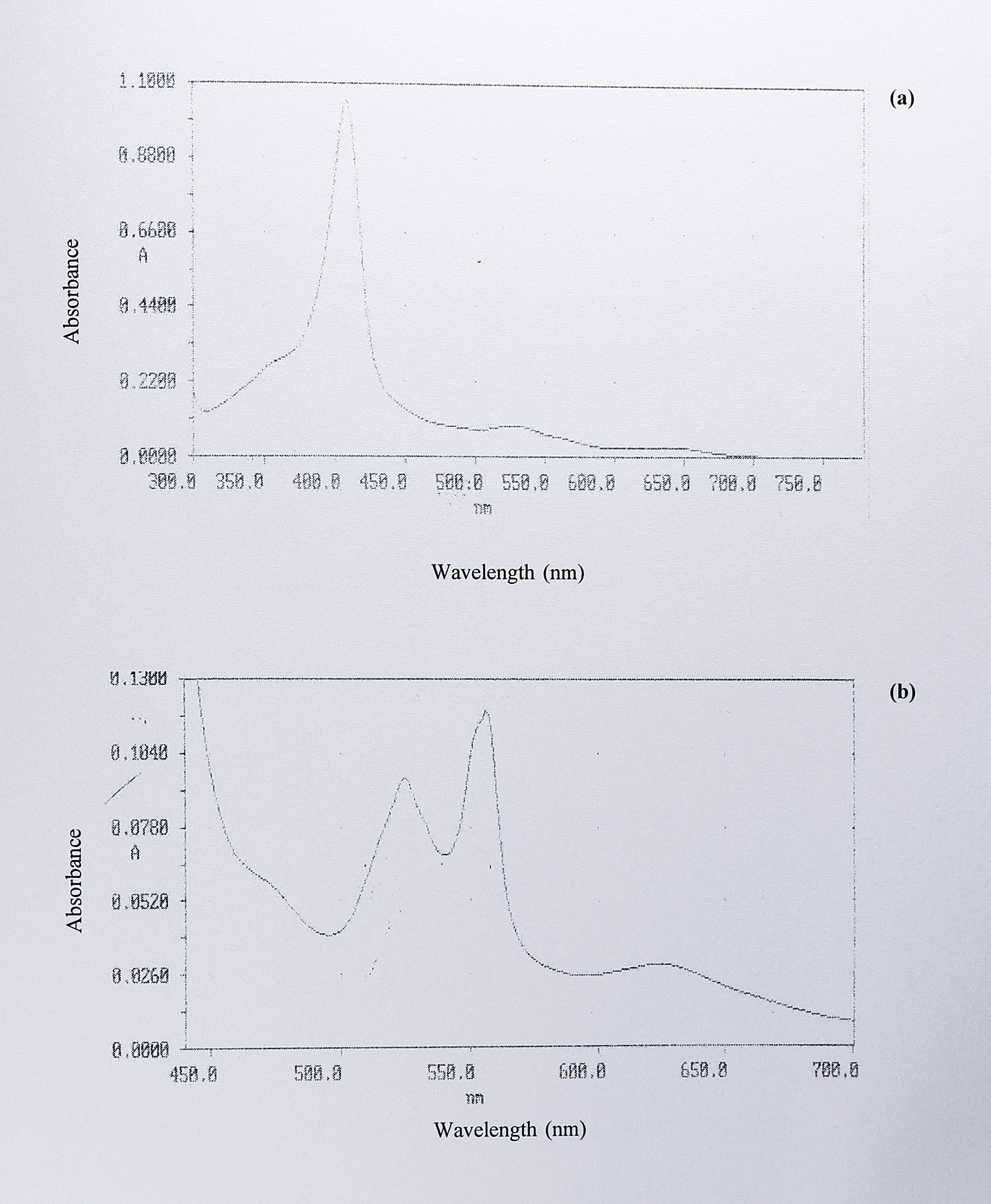 Visible spectra of cytochrome _c_ peroxidase from _T. pantotropha_ [pMMBY25F]. Peak 4 as isolated showed absorbance maxima at 408, 526 and 639 nm. When reduced with sodium dithionite, absorbance maxima were seen at 419, 524, 556 and 620 with a shoulder at the blue side of the 556 nm peak. Peak 4 was identified by spectroscopy, size on SDS-PAGE and enzyme assay as cytochrome _c_ peroxidase.