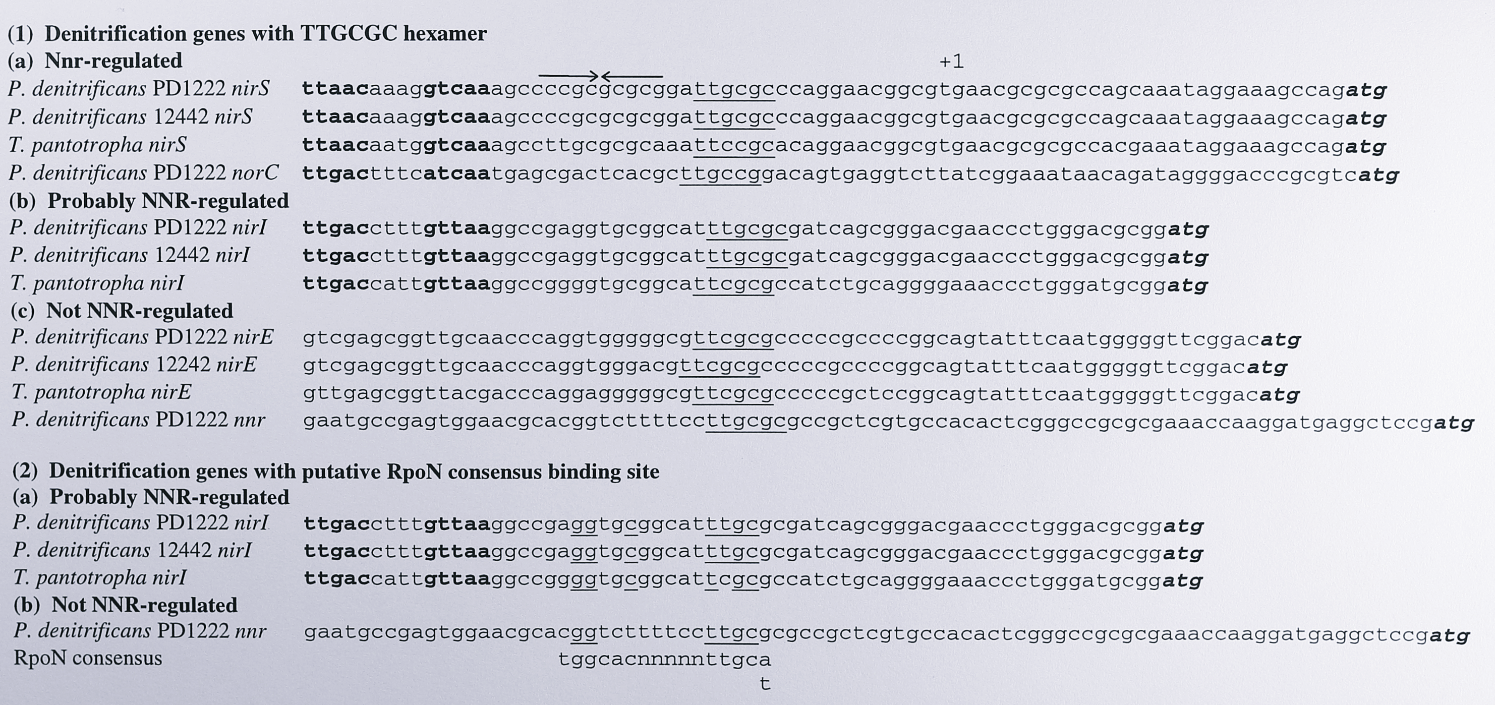Alignments of the upstream regions of NNR-regulated genes from _P. denitrificans_ and _T. pantotropha_ showing regions of conserved sequence. Group 1 shows genes with the consensus hexamer TTGCGC in the upstream region. The _nirI_ gene is assumed to be regulated by NNR (see text for details). Also included are the non-NNR-regulated genes _nirE_ and _nnr_. Group 2 shows a consensus resembling the RpoN binding site in the _nirI_ and _nnr_ upstream regions. The NNR binding site is shown in bold, the ATG start codon is in bold-italic. In Group 1 the TTGCGC hexamer is underlined, in Group 2 residues matching the RpoN consensus are underlined. +1 indicates the transcription start site of the _nirS_ gene. A perfect 10 bp inverted repeat in the _nirS_ gene is indicated by inward-facing arrows. Sequence data for _P. denitrificans_ PD1222 and _P. denitrificans_ 12442 was taken from GenBank accession number U05002 and Ohshima et. al. (1993) [@ohshima_cloning_1993], respectively.